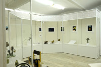 /album/bildgalleri-biologiska-museet-timiryazev/1-biologiska-museet-2014-jpg/